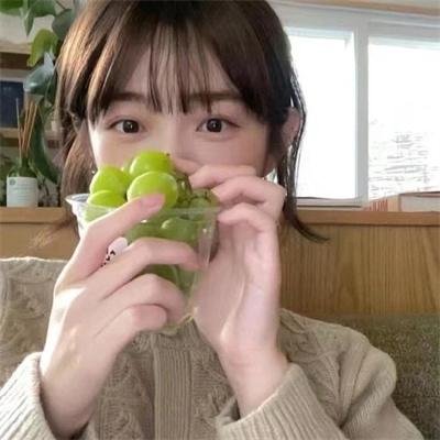 山中森林